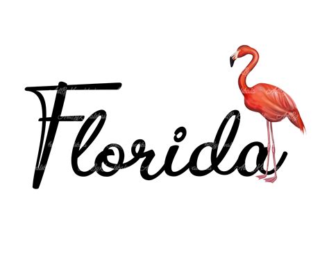 Florida Lettering Png Florida Clipart Digital Download Etsy Ireland