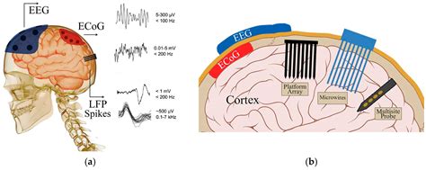 Eeg Methods For The Psychological Sciences