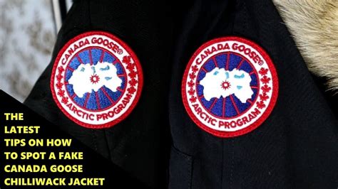 How To Spot Fake Canada Goose Jacket Headassistance3