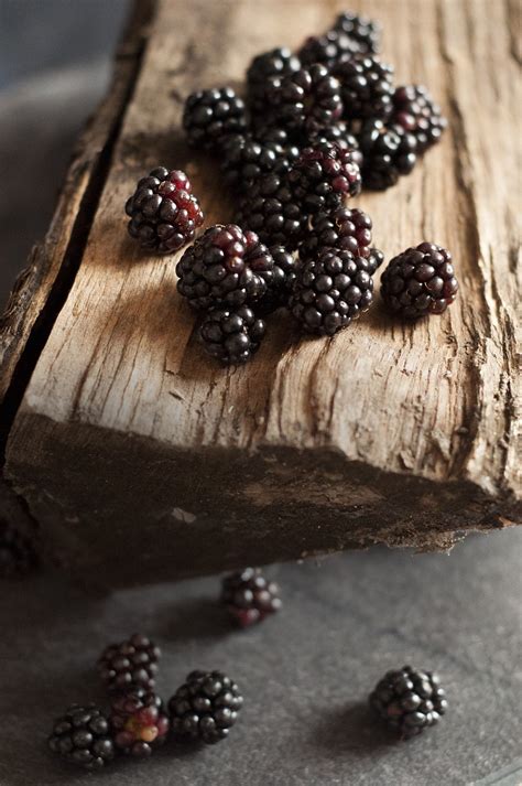 Blackberries Forest Fruit Free Photo On Pixabay Pixabay