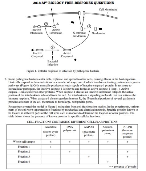 How To Do Well On The AP Biology Free Response FRQ Examples With