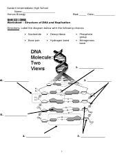 Structure and replication working with the figures 1. DNA Structure and Replication Worksheet.doc - Eastern Intermediate High School Name Honors ...