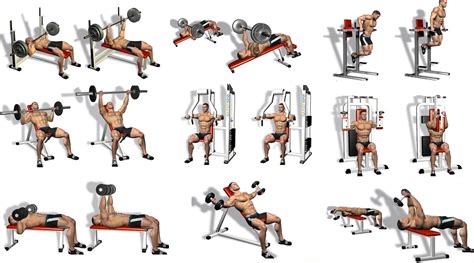 Five Best Chest Exercises To Make The Gym Jealous Of Your Pecs Bodydulding