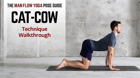 How To Do Cat Cow Pose Tutorial For Beginners Technique Walkthrough