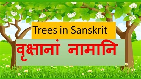 10 Lines About Tree In Sanskrit Orissa Times