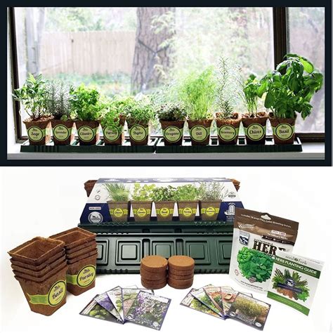 How To Grow Your Very Own Indoor Herb Garden Tips And Ideas