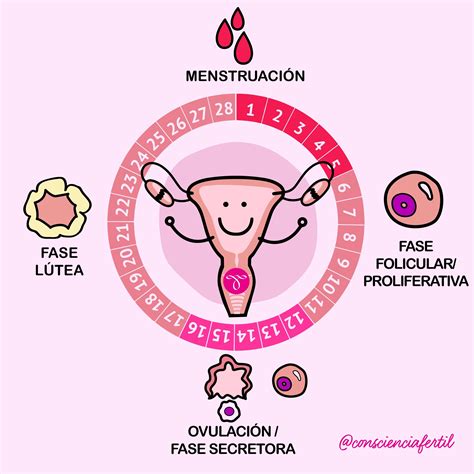 ¿que Es La Menstruación Consciente
