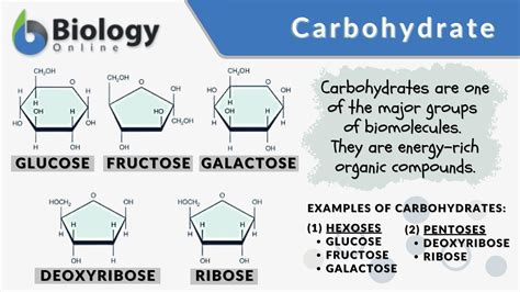 Carbohydrate Definition And Examples Biology Online Dictionary