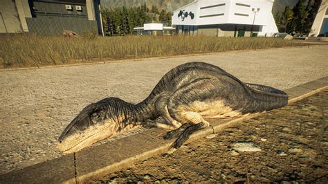 V Camp Cretaceous Update Deinonychus Finless Jp Trespasser At Jurassic World Evolution 2