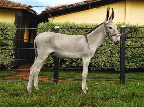 Araripina Fatos Em Fotos Qualquer SemelhanÇa Com Pessoas Da Sua Cidade É Mera CoincidÊncia