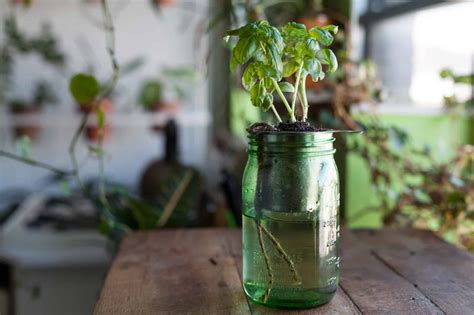 14 Self Watering Planters Diy For The Ones Without A Green Thumb
