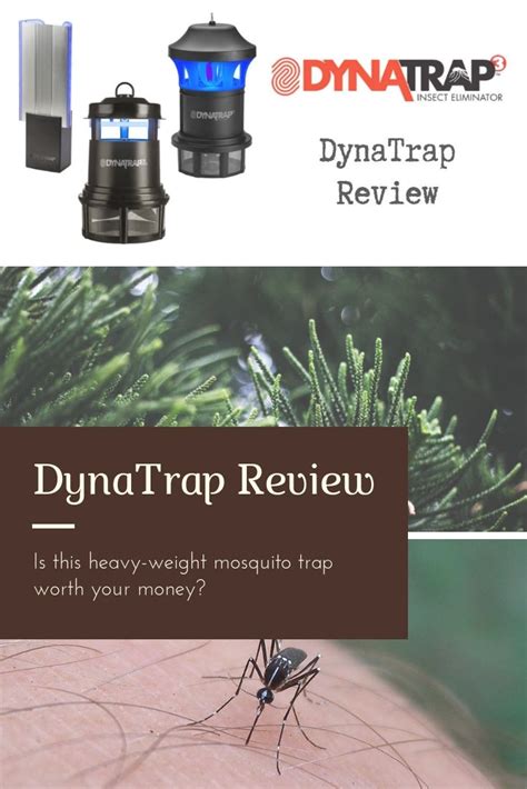 In This Dynatrap Review We Take A Look At The Three Type Of Mosquito