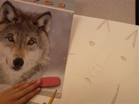Ppps Elementary Art Rooms Realistic Animal Drawings 4th Grade Project