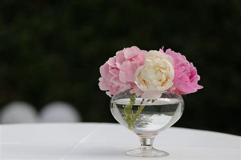 Free Picture Bouquet Pinkish Roses Fresh Water Crystal Vase Rose