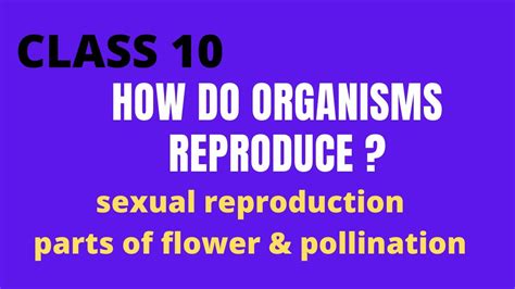 How Do Organisms Reproduce Sexual Reproduction Intro Parts Of