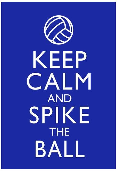 Keep Calm And Spike The Ball Volleyball Posters
