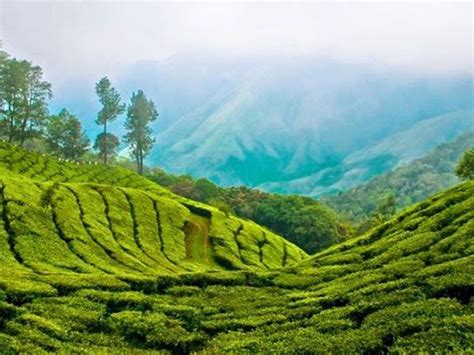 It is a remake of the 2005 french film anthony zimmer. Top Tourist Places in Idukki, Sight Seeing in Idukki ...