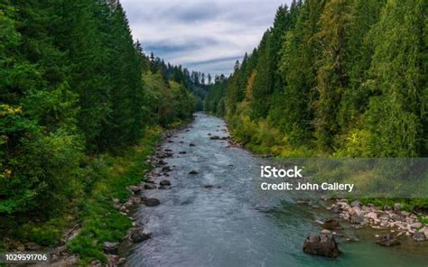 Cispus River Stock Photo Download Image Now Autumn Forest
