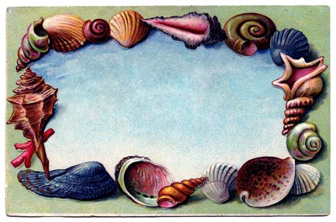 Vintage Clip Art Souvenir Seashell Postcard 2 The Graphics Fairy
