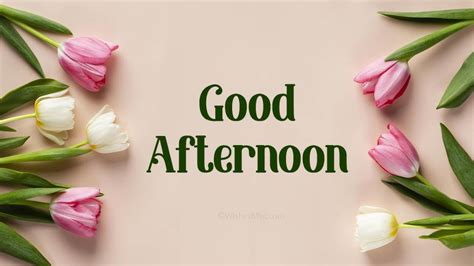 100 Good Afternoon Wishes Messages And Quotes Wishesmsg 2023