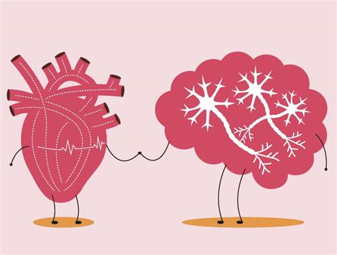 The Science Of Our Heart Brain Connection