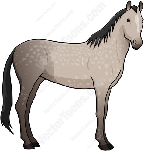 Cartoon Image Of Horse Free Download On Clipartmag