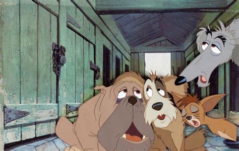 An Animated Image Of Three Dogs In A Room With One Dog Looking At The