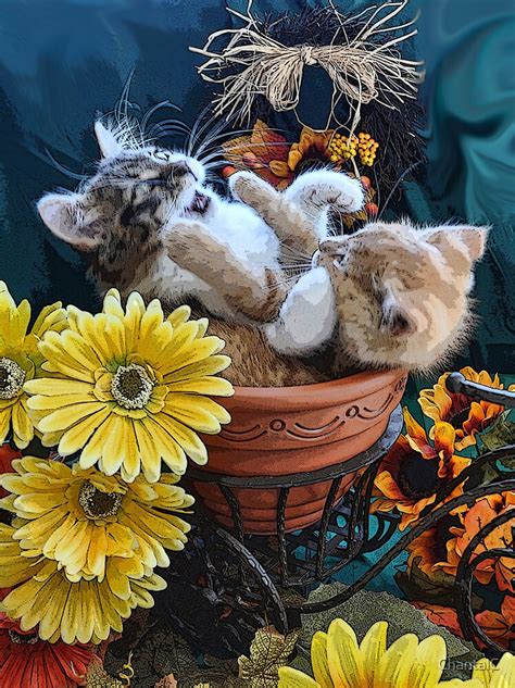 Venus And Di Milo ~ Cute Kitty Cat Kittens In A Flower Pot Playing In