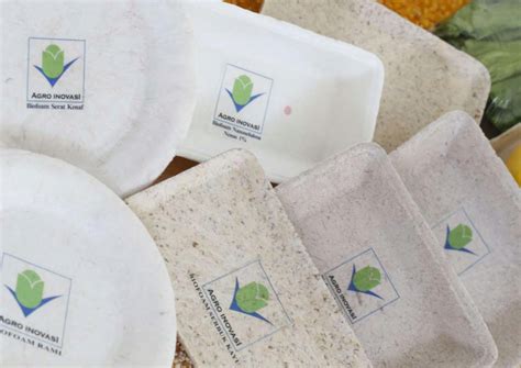 Biofoam Kemasan Ramah Lingkungan Pengganti Styrofoam