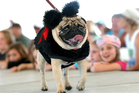 I Have No Idea What Shes Dressed Up As But She Looks Worried She