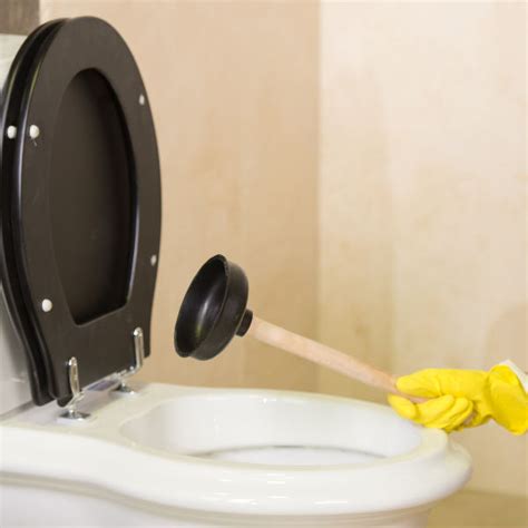 How To Dissolve Poop Stuck In A Toilet Clogged Toilet With Poop