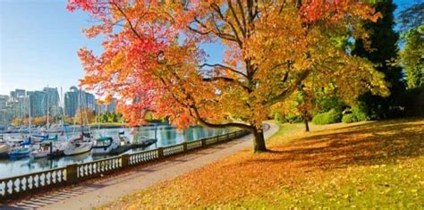 These Vibrant Vancouver Fall Foliage Snaps Will Take Your Breath Away