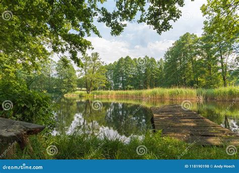 A Red Dock In A Pond With A Ladder Surrounded By Lush Greenery Royalty