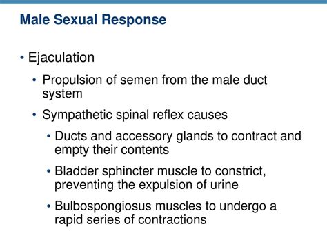 Primary Sex Organs Gonads Testes And Ovaries Ppt Download