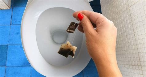 Wie Entferne Ich Sedimente Und Kalkablagerungen In Der Toilette Tipps