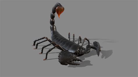 Scorpion Download Free 3d Model By Gozdemrl 32836c4 Sketchfab