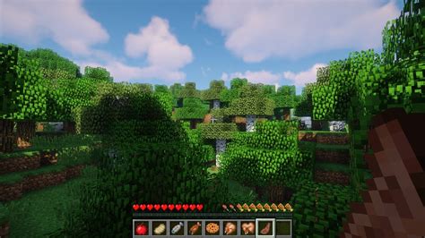 If the name didn't give it away, this pack is all about food! AppleSkin mod for Minecraft 1.14 / 1.13.2 / 1.12.2