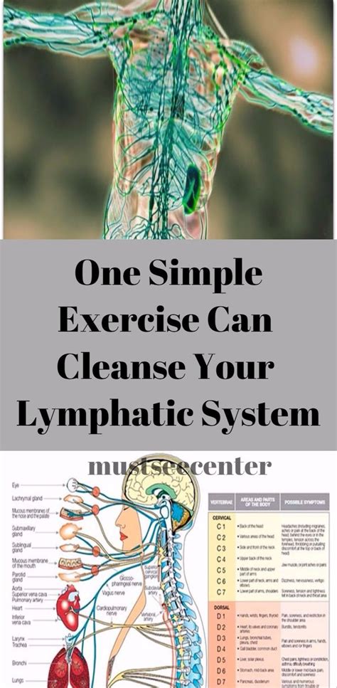 Ways To Detox Lymphatic System