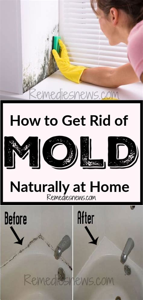 How To Get Rid Of Mold Naturally At Home Remediesnews