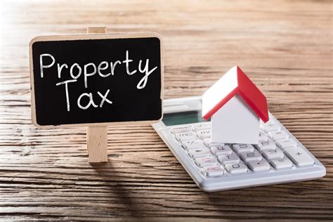 5 Common Real Estate Tax Mistakes Property Tax Consultant Tips