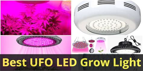 4 Best Ufo Led Grow Light To Buy In 2022