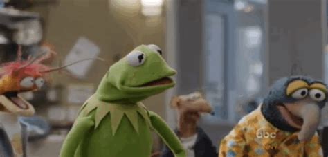 Excited Kermit  Animed