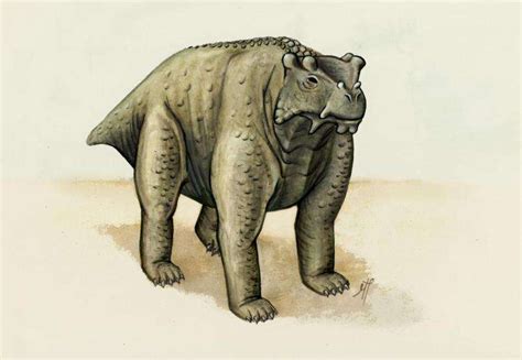 Pre Reptile May Be Earliest Known To Walk Upright On All Fours