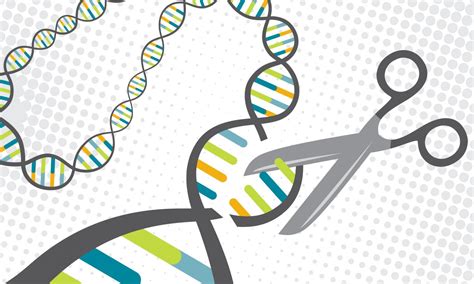 New Technique Enables Safer Gene Editing Therapy Using Crispr