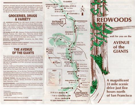 Avenue of the Giants | Favorite Places & Spaces ...