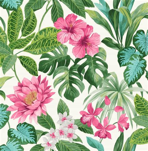 Tropical Floral Wallpapers Top Free Tropical Floral Backgrounds