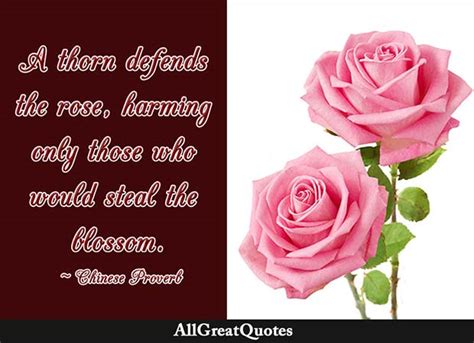 Discover john thorn famous and rare quotes. A thorn defends the rose, harming only those who would steal the blossom. - Chinese Proverb ...