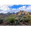 Desert Cactus Landscape Shrubs Clouds Mountain Texas National 