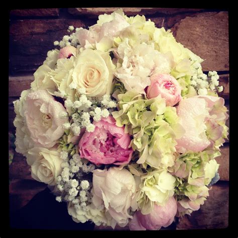 We did not find results for: Hydrangeas/Roses/Peonies/Babys Breath THIS IS WHAT I HAVE ...