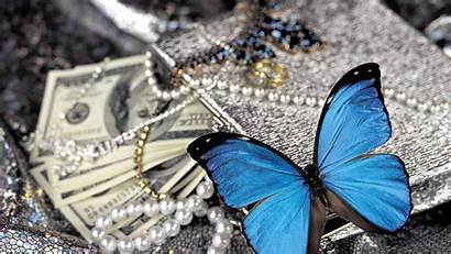 Butterfly Pearls Money Wallpapers Screensavers Birds 4k